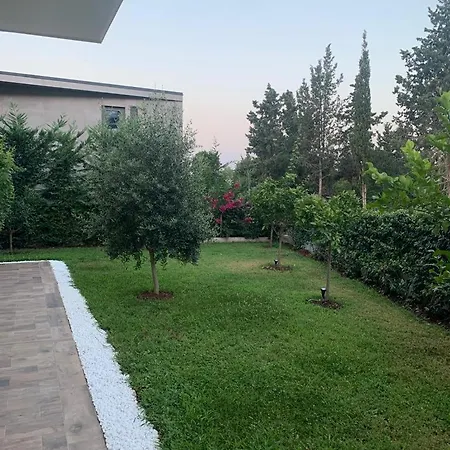 Lemon Tree G25 * Himare