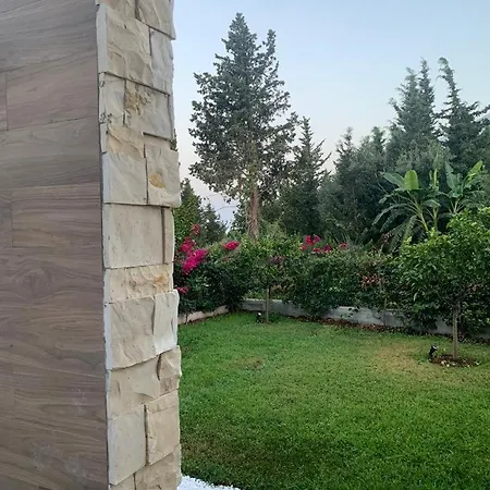 Lemon Tree G25 Villa *