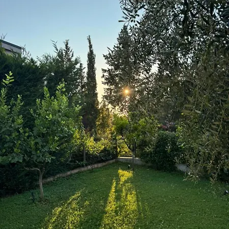 Villa Lemon Tree G25 *